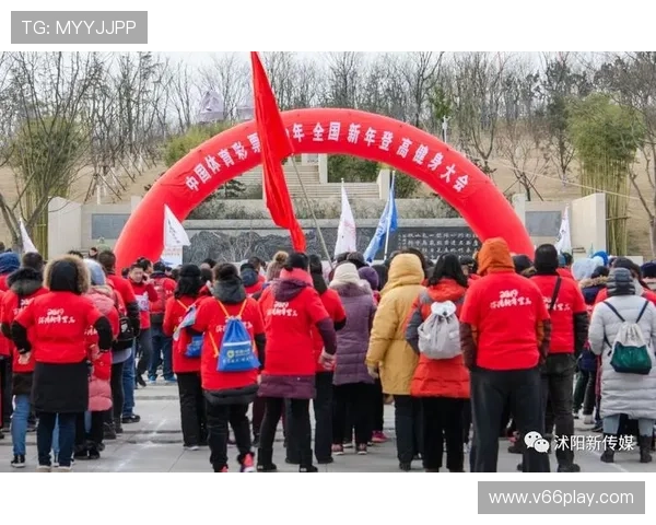 678体育登录娱乐平台为体育爱好者打造的稳定登录平台解决方案与使用建议