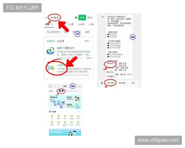 鼎博体育用户评价与口碑分析真实用户体验助你选择放心平台